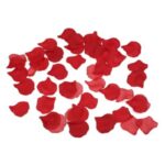 100 Petali Rossi Decorativi – Petali Romantici per Letto e Camera